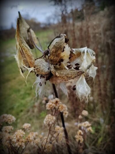 The Gateway Reserve - Hamilton, NY