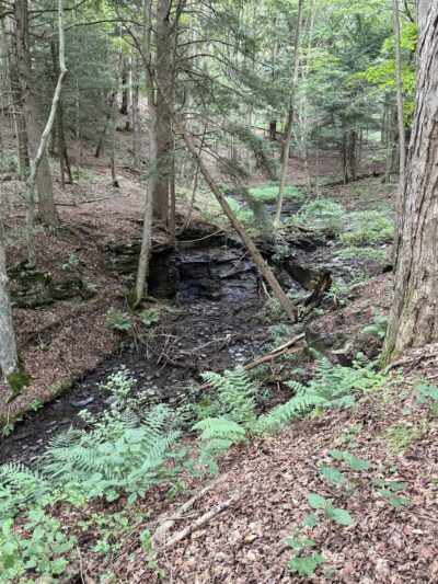 The Leland Reserve - Hamilton, NY