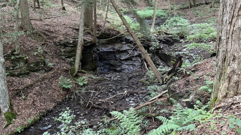 The Leland Reserve - Hamilton, NY