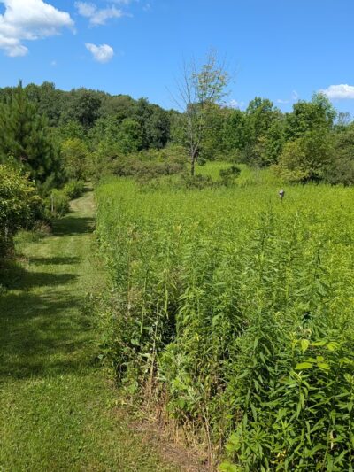 The Leland Reserve - Hamilton, NY