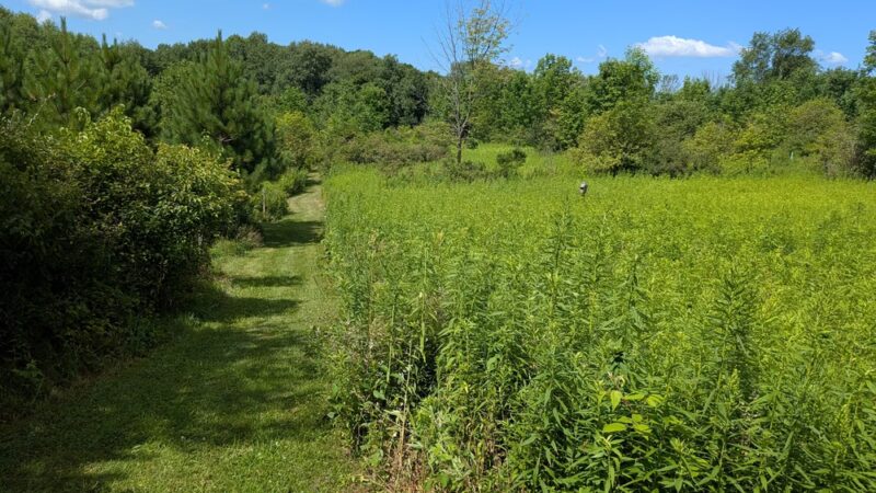 The Leland Reserve - Hamilton, NY