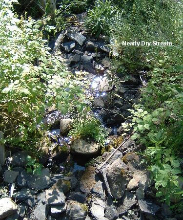 The Leland Reserve - Hamilton, NY