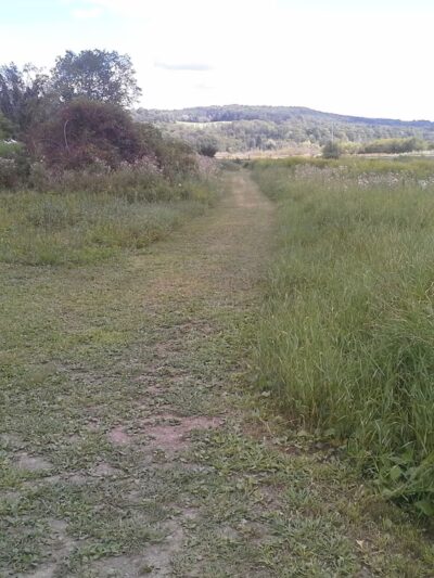 The Schapiro Reserve - Hamilton, NY