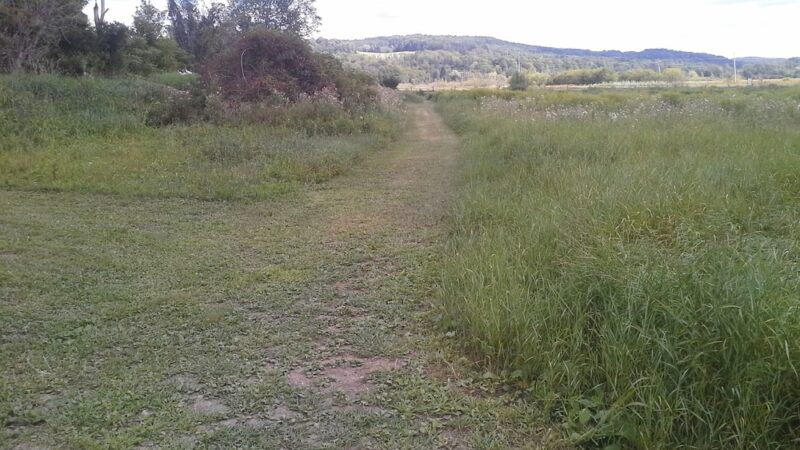 The Schapiro Reserve - Hamilton, NY