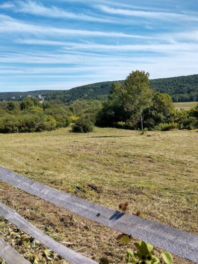 The Schapiro Reserve - Hamilton, NY