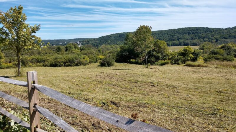 The Schapiro Reserve - Hamilton, NY