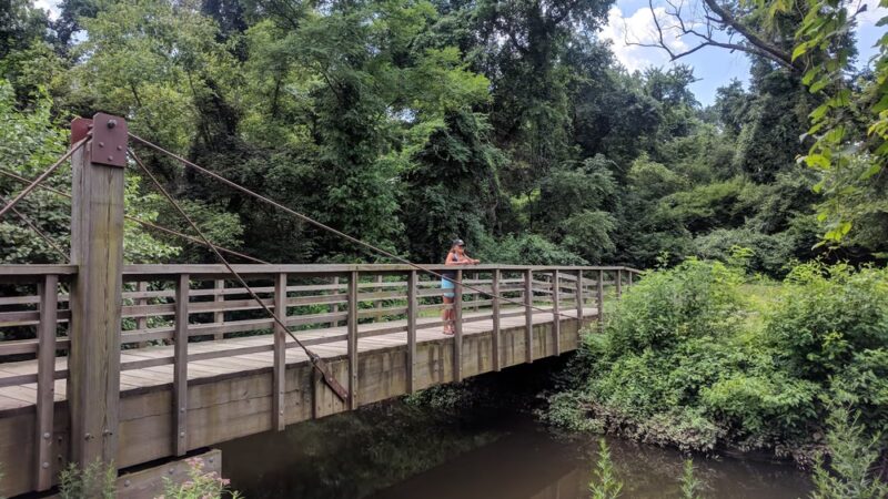 Delaware and Raritan Canal State Park - Hamilton Township, NJ