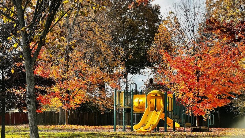 Switlik Park - Hamilton Township, NJ