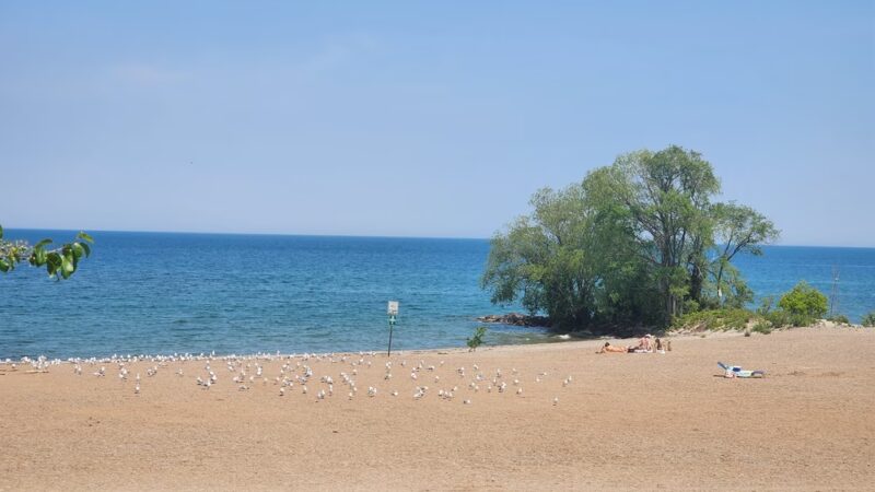 Hamlin Beach State Park - Hamlin, NY