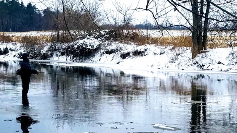 Scout Park - Hamlin, NY