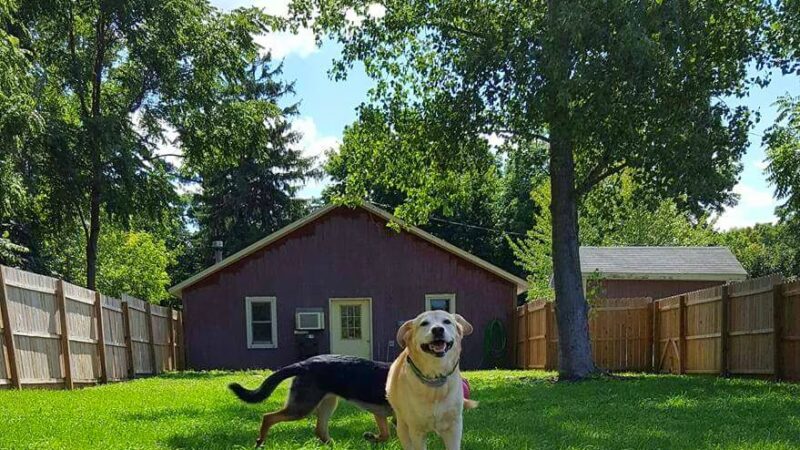 ZenDog Inn - Hamlin, NY