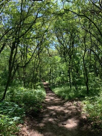Briar East Woodland Dunes - Hammond, IN