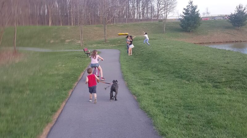 Cape Horn Park - Hampstead, MD