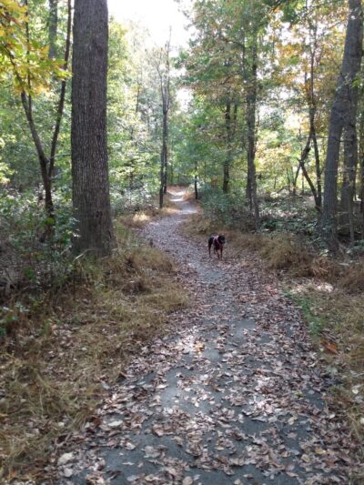 Cape Horn Park - Hampstead, MD