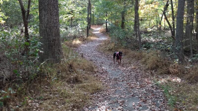Cape Horn Park - Hampstead, MD