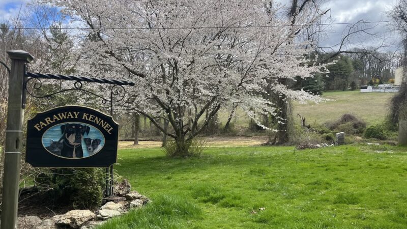 Faraway Kennel - Hampstead, MD