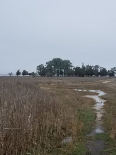 Hubbard County Park - Hampton Bays, NY