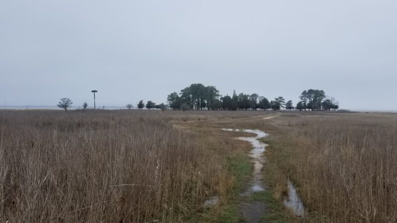 Hubbard County Park - Hampton Bays, NY