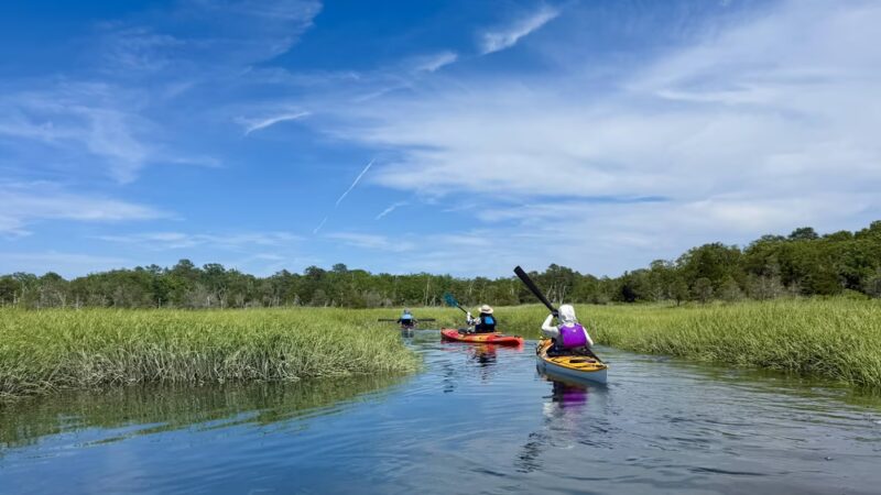 Hubbard County Park - Hampton Bays, NY