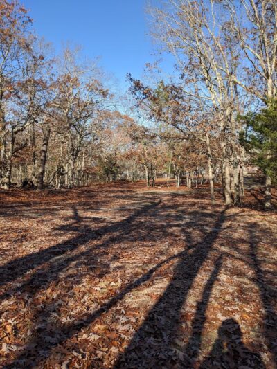 Squiretown Park - Hampton Bays, NY