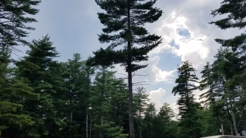 Wakeda Campground - Hampton Falls, NH
