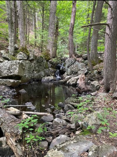 Batchelder Pond Trails - Hampton, NH