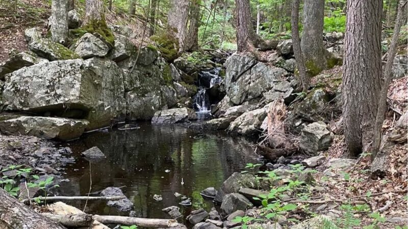 Batchelder Pond Trails - Hampton, NH