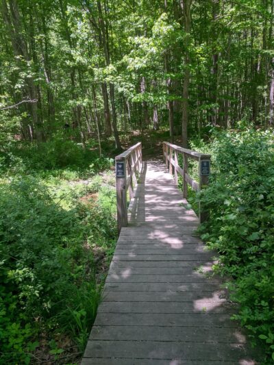 Batchelder Pond Trails - Hampton, NH