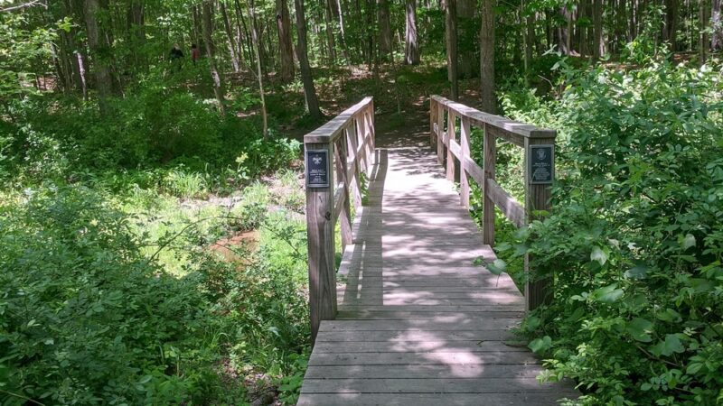 Batchelder Pond Trails - Hampton, NH