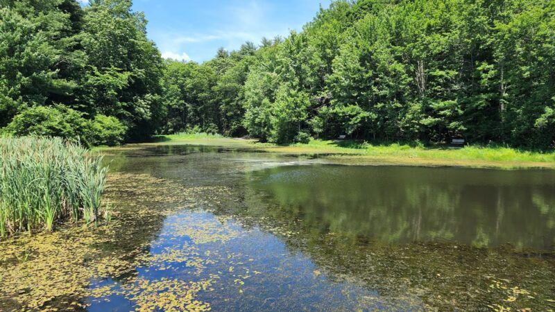 Batchelder Pond Trails - Hampton, NH