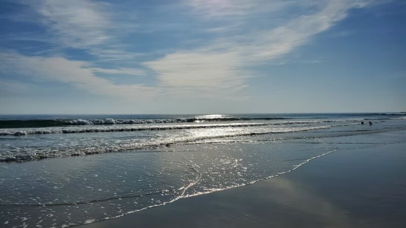 Hampton Beach State Park Campground - Hampton, NH