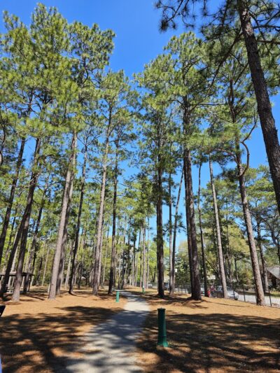Lightsey Park - Hampton, SC