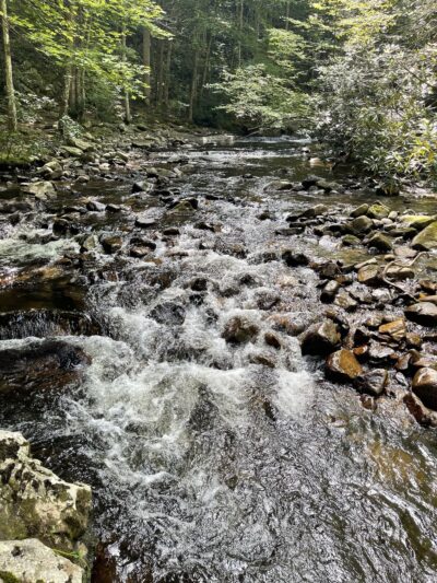 Laurel Falls - Hampton, TN