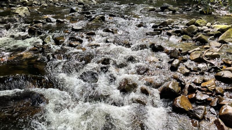 Laurel Falls - Hampton, TN