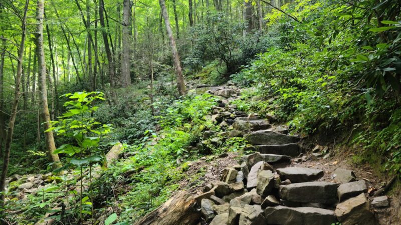 Laurel Falls - Hampton, TN
