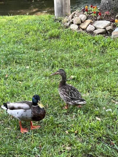 River valley RV park and campground - Hampton, TN