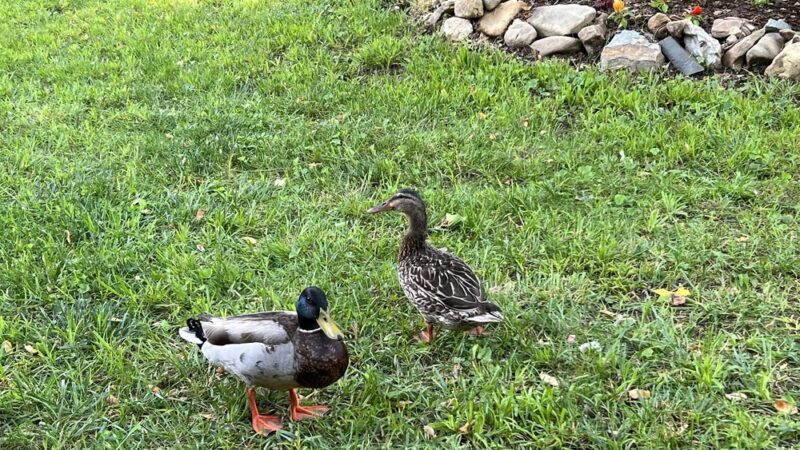 River valley RV park and campground - Hampton, TN