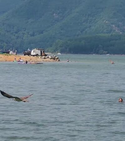Watauga Point Recreational Area - Hampton, TN