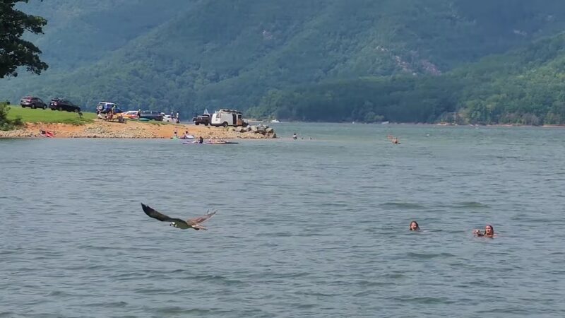 Watauga Point Recreational Area - Hampton, TN