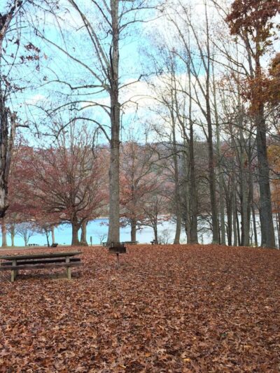 Watauga Point Recreational Area - Hampton, TN
