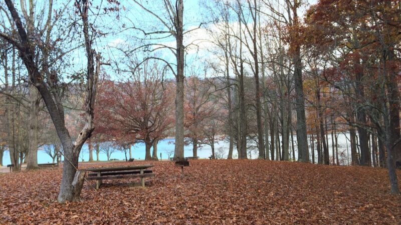 Watauga Point Recreational Area - Hampton, TN