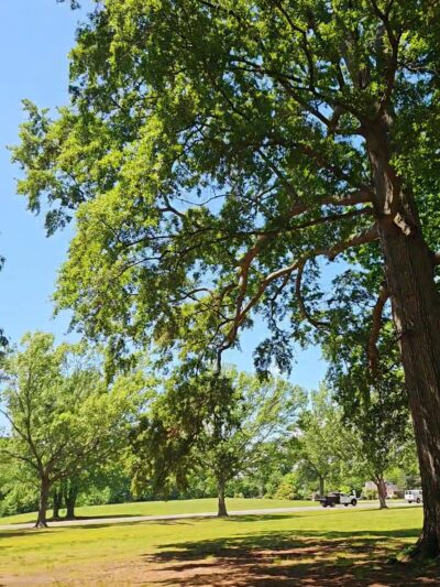 Briarfield Park - Hampton, VA