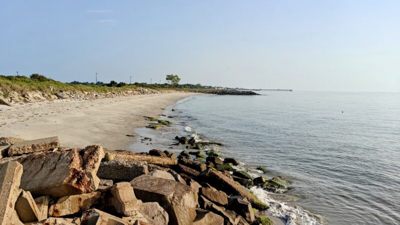 Dog Beach - Hampton, VA