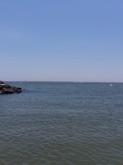 Dog Beach - Hampton, VA