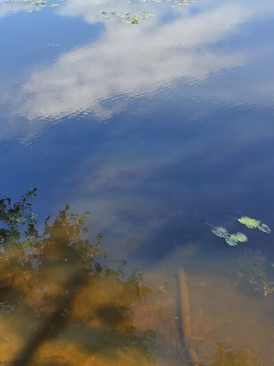 Neighborhood Park - Hanahan, SC