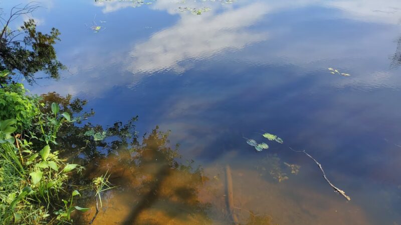 Neighborhood Park - Hanahan, SC