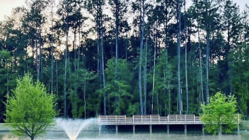 The Hawks Nest - Hanahan, SC