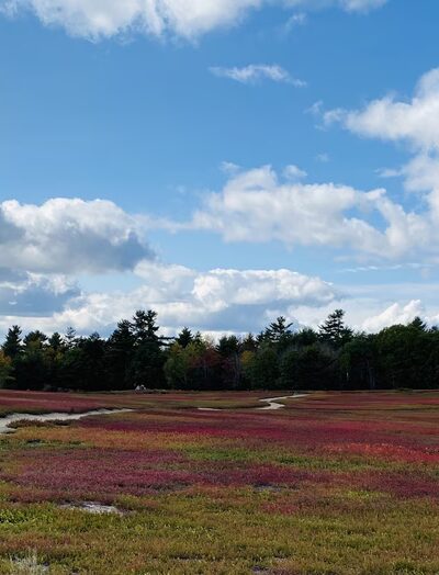 Hancock - Hancock, ME