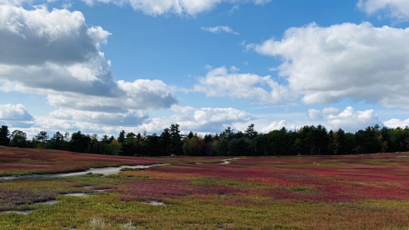 Hancock - Hancock, ME