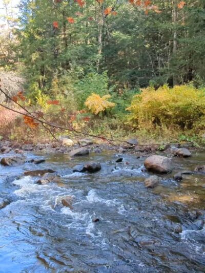 Mink Brook Nature Preserve - Hanover, NH